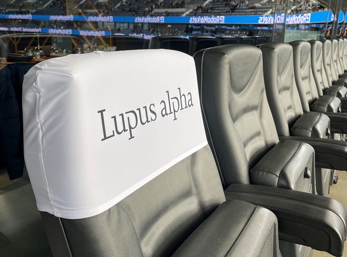 Bezüge für Stadionsitze und Kopfstützen schaffen dauerhafte Markenpräsenz